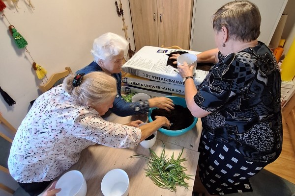 Seniorzy przyozdabiali parapety naszego Domu zielenią