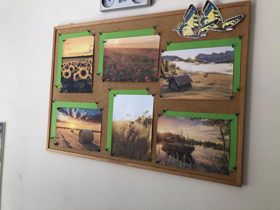 511193855_654680517616687_7399239857176160731_n (1).jpg