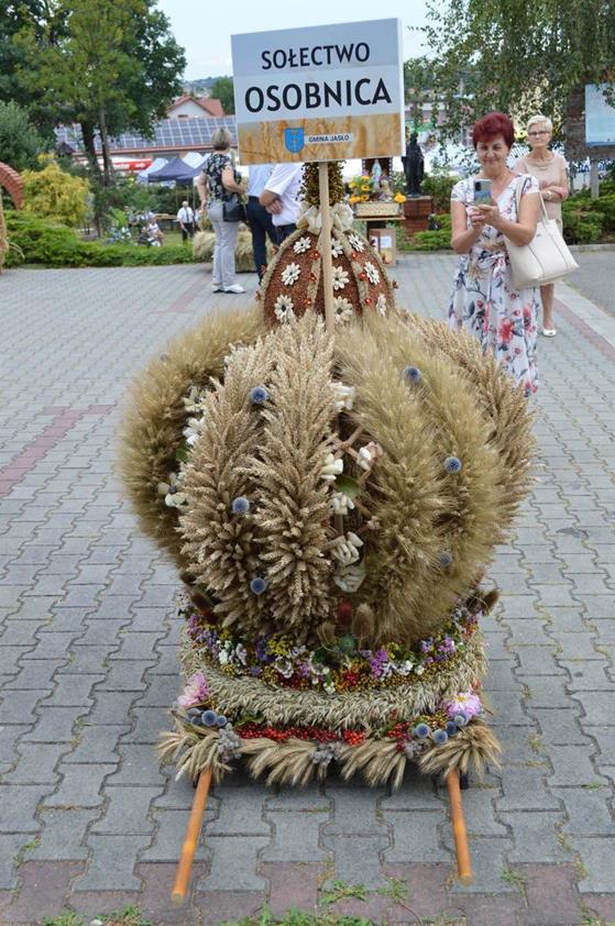 Zdjęcia (9).jpg